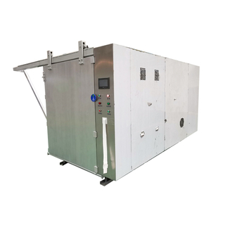 EO Gas Sterilizer Syringe Sterilization Machine 